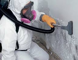 Best Biohazard Mold Removal  in Chittenango, NY